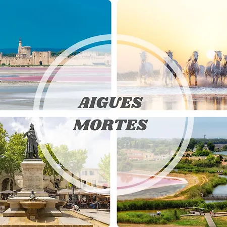 Le Seventie's 3 Terrasse-netflix-wifi-parking-mer-top Pros Servicesconciergerie *