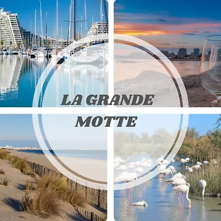 Apartment Le Seventie's 3 Terrasse-netflix-wifi-parking-mer-top Pros Servicesconciergerie *