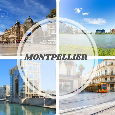 Le Seventie's 3 Terrasse-netflix-wifi-parking-mer-top Pros Servicesconciergerie Apartment *