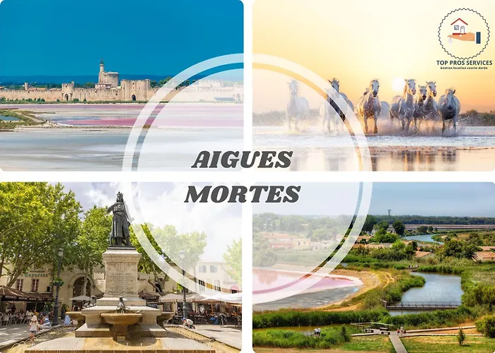 Le Seventie's 3 Terrasse-netflix-wifi-parking-mer-top Pros Servicesconciergerie *